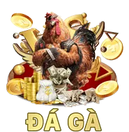 Bước 4: Bắt đầu săn cá