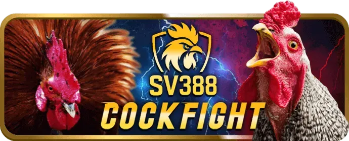 Sòng bạc Trực tiếp VN8