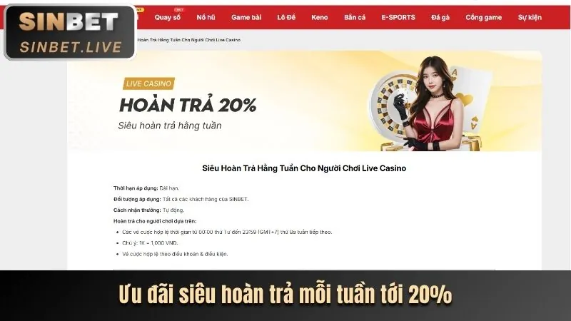 Tổng quan nền tảng VN8 trang chủ chính thức
